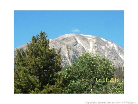 1574 Chipmunk Ln, Silverthorne, CO 80498 photo 3