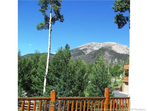 346 Springbeauty Dr, Silverthorne, CO 80498 photo 17