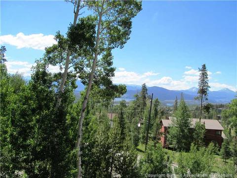 346 Springbeauty Dr, Silverthorne, CO 80498 photo 18