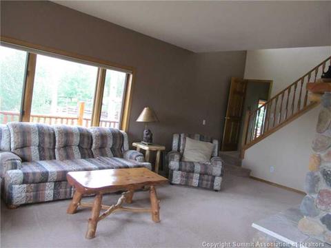 346 Springbeauty Dr, Silverthorne, CO 80498 photo 5