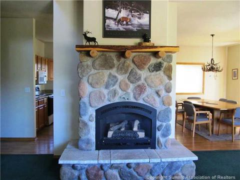 346 Springbeauty Dr, Silverthorne, CO 80498 photo 7
