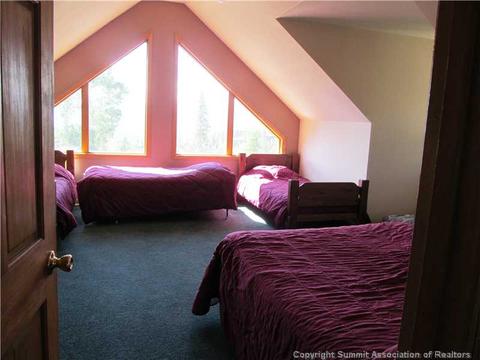 346 Springbeauty Dr, Silverthorne, CO 80498 photo 13