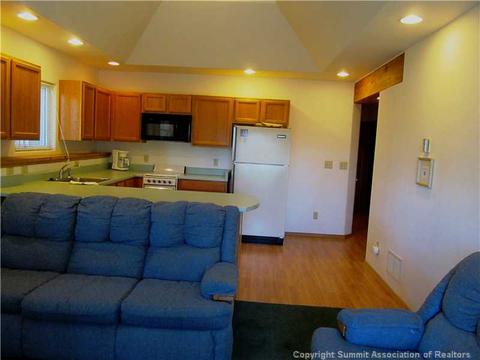 346 Springbeauty Dr, Silverthorne, CO 80498 photo 15