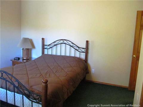 346 Springbeauty Dr, Silverthorne, CO 80498 photo 11