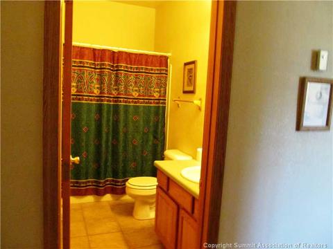 346 Springbeauty Dr, Silverthorne, CO 80498 photo 10