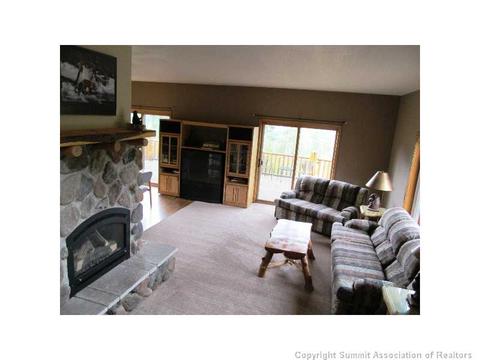 346 Springbeauty Dr, Silverthorne, CO 80498 photo 6