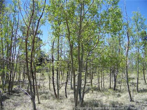 1682 Warrior Cir, Como, CO 80432 photo 1