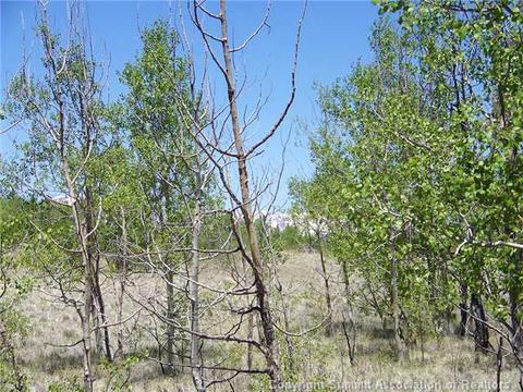 1682 Warrior Cir, Como, CO 80432 photo 5