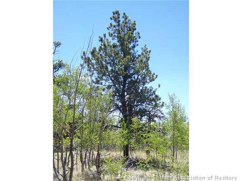 1682 Warrior Cir, Como, CO 80432 photo 2