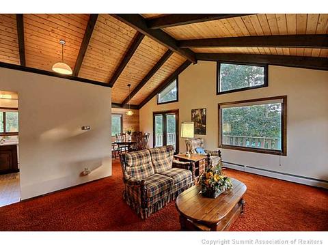 698 Deer Path Rd, Dillon, CO 80435 photo 8