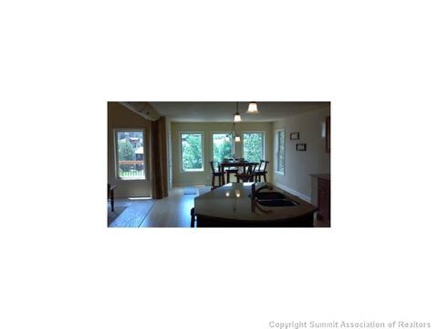 80 Redtail Ct, Dillon, CO 80435 photo 8