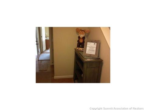 80 Redtail Ct, Dillon, CO 80435 photo 13