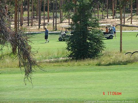 80 Redtail Ct, Dillon, CO 80435 photo 5