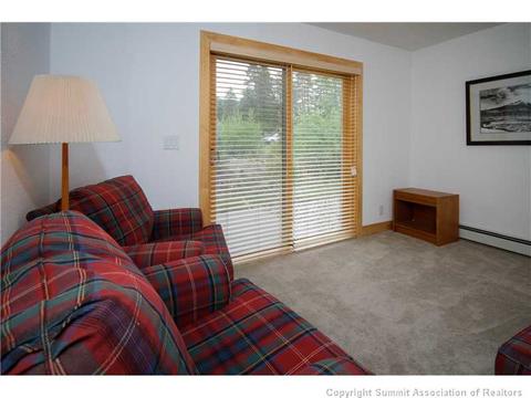 16 Doe Dr #16, Dillon, CO 80435 photo 16