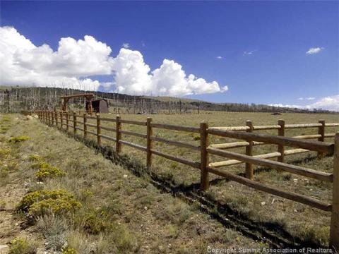 984 Reinecker Rd, Fairplay, CO 80440 photo 8