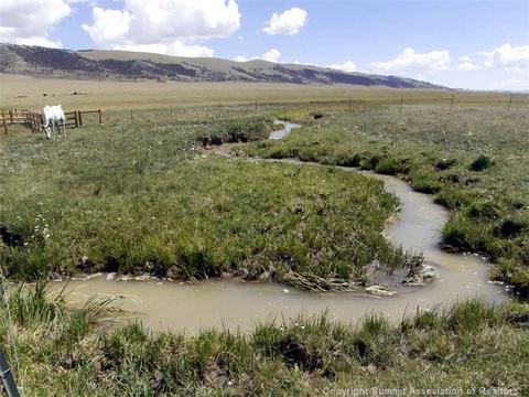 984 Reinecker Rd, Fairplay, CO 80440 photo 19