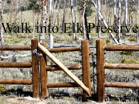 984 Reinecker Rd, Fairplay, CO 80440 photo 16
