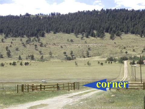 984 Reinecker Rd, Fairplay, CO 80440 photo 12