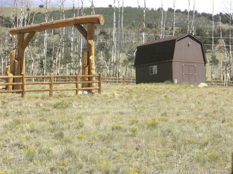 984 Reinecker Rd, Fairplay, CO 80440 photo 3