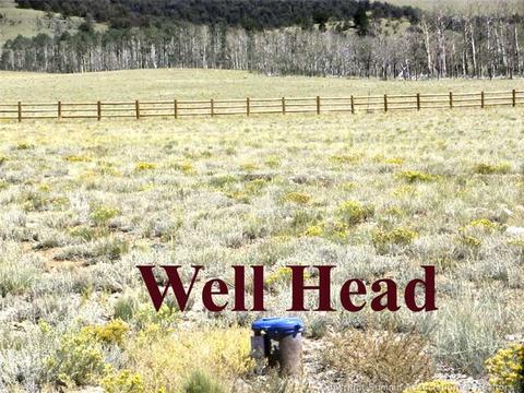984 Reinecker Rd, Fairplay, CO 80440 photo 20