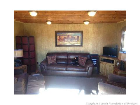 984 Reinecker Rd, Fairplay, CO 80440 photo 4