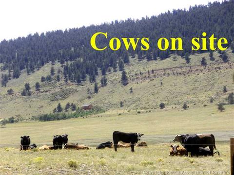 984 Reinecker Rd, Fairplay, CO 80440 photo 25