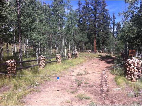 22 Falcon Rd, Como, CO 80432 photo 1
