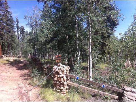 22 Falcon Rd, Como, CO 80432 photo 2