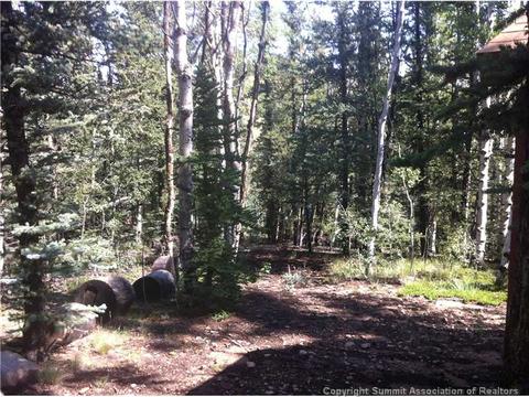 22 Falcon Rd, Como, CO 80432 photo 4