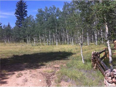 22 Falcon Rd, Como, CO 80432 photo 7