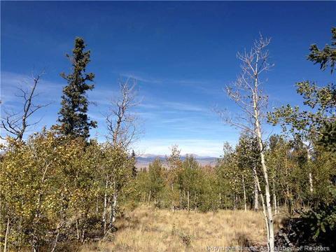 183 Antler Ridge Rd, Como, CO 80432 photo 1