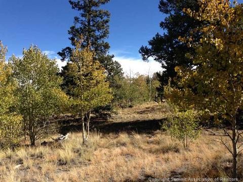 183 Antler Ridge Rd, Como, CO 80432 photo 2