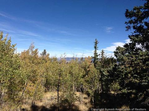 183 Antler Ridge Rd, Como, CO 80432 photo 3