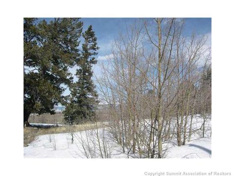 183 Antler Ridge Rd, Como, CO 80432 photo 9