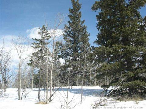 183 Antler Ridge Rd, Como, CO 80432 photo 6