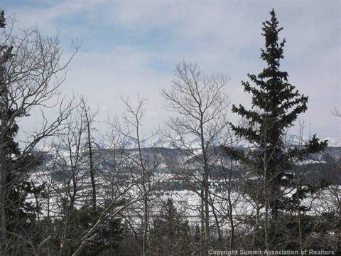 183 Antler Ridge Rd, Como, CO 80432 photo 4