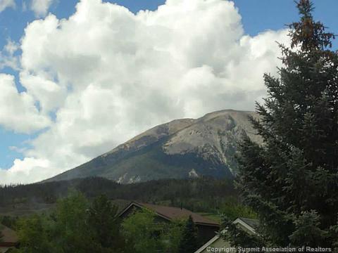 112 Badger Ct, Silverthorne, CO 80498 photo 2