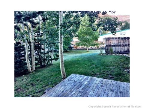 33 Big Elk Rd, Dillon, CO 80435 photo 13