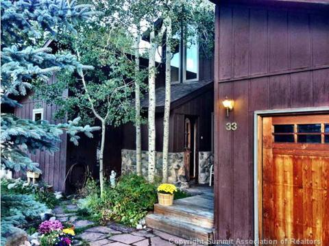 33 Big Elk Rd, Dillon, CO 80435 photo 20