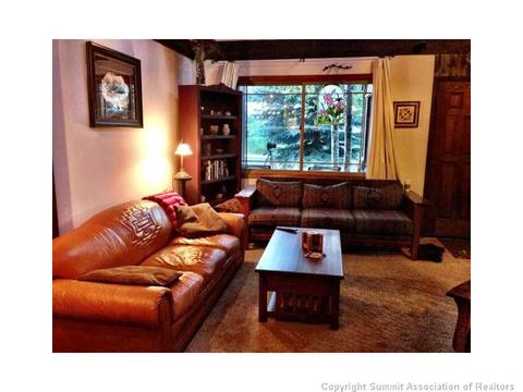 33 Big Elk Rd, Dillon, CO 80435 photo 4