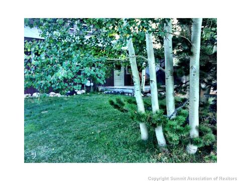33 Big Elk Rd, Dillon, CO 80435 photo 12