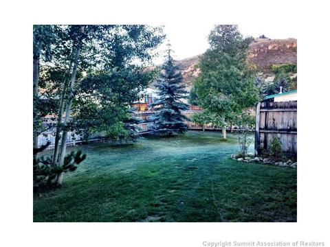 33 Big Elk Rd, Dillon, CO 80435 photo 14