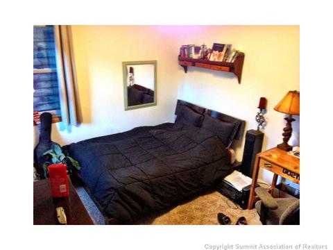 33 Big Elk Rd, Dillon, CO 80435 photo 10