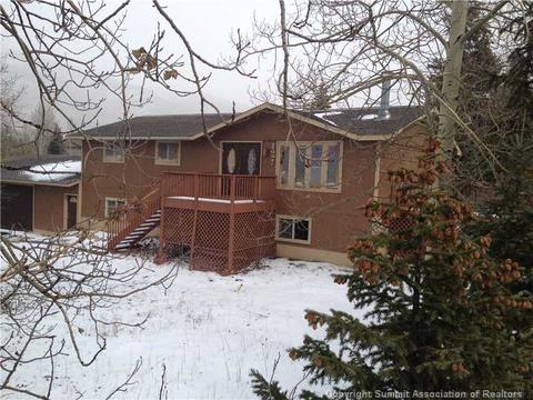 627 Deer Path Rd, Dillon, CO 80435 photo 14