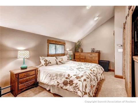 602 Ryan Gulch Rd, Silverthorne, CO 80498 photo 14