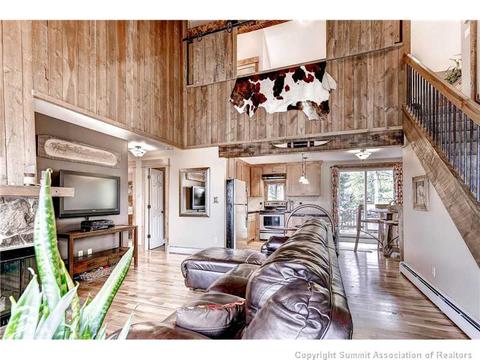 602 Ryan Gulch Rd, Silverthorne, CO 80498 photo 4