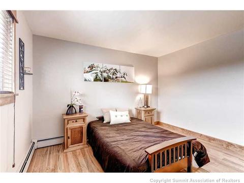 602 Ryan Gulch Rd, Silverthorne, CO 80498 photo 21