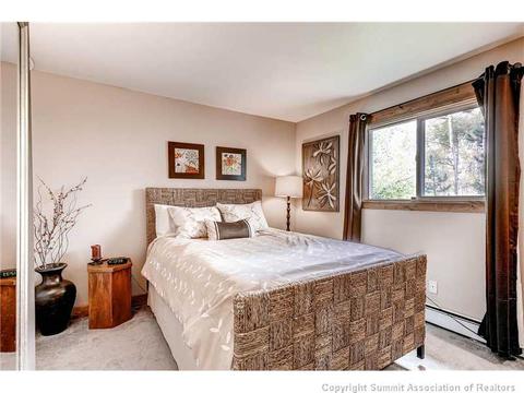 602 Ryan Gulch Rd, Silverthorne, CO 80498 photo 17