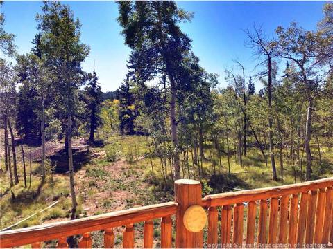 336 Arapahoe Cir, Como, CO 80456 photo 16