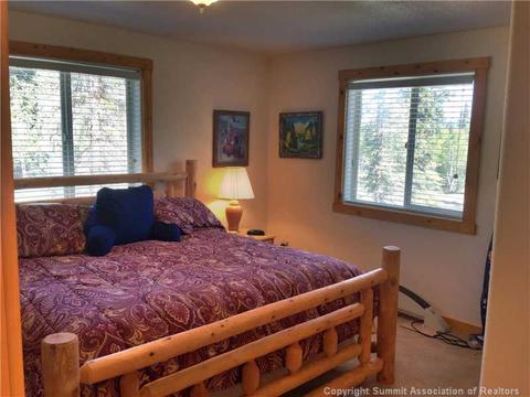336 Arapahoe Cir, Como, CO 80456 photo 14